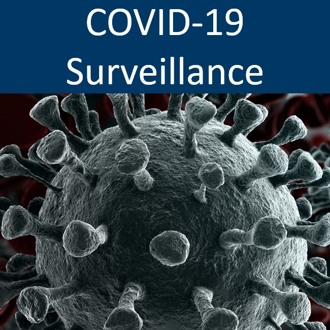 COVID Special Request sub form with image of COVID-19 virus