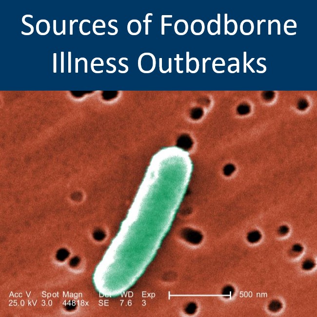 Click to go to Sources of Foodborne Illness page, with a picture of E. coli