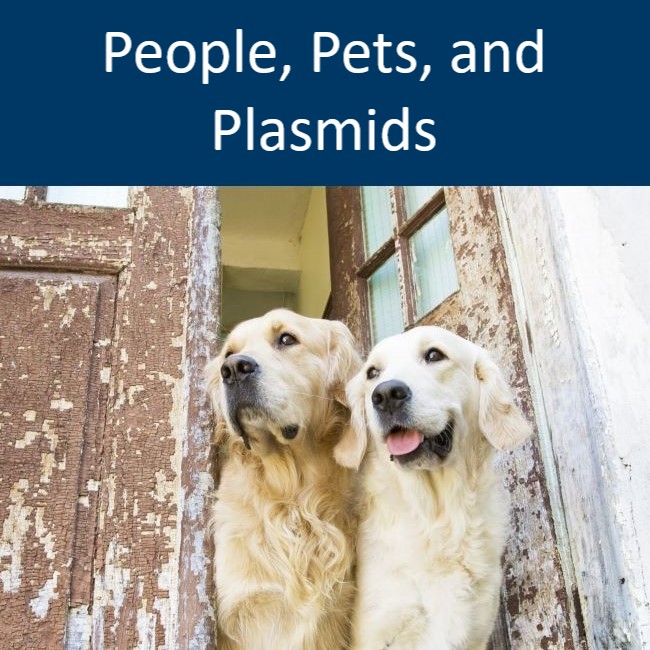 Click to go to People, Pets, and Plasmids page, with a picture of dogs