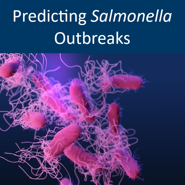 Click to go to Predicting Salmonella Outbreaks page, with a picture of Salmonella