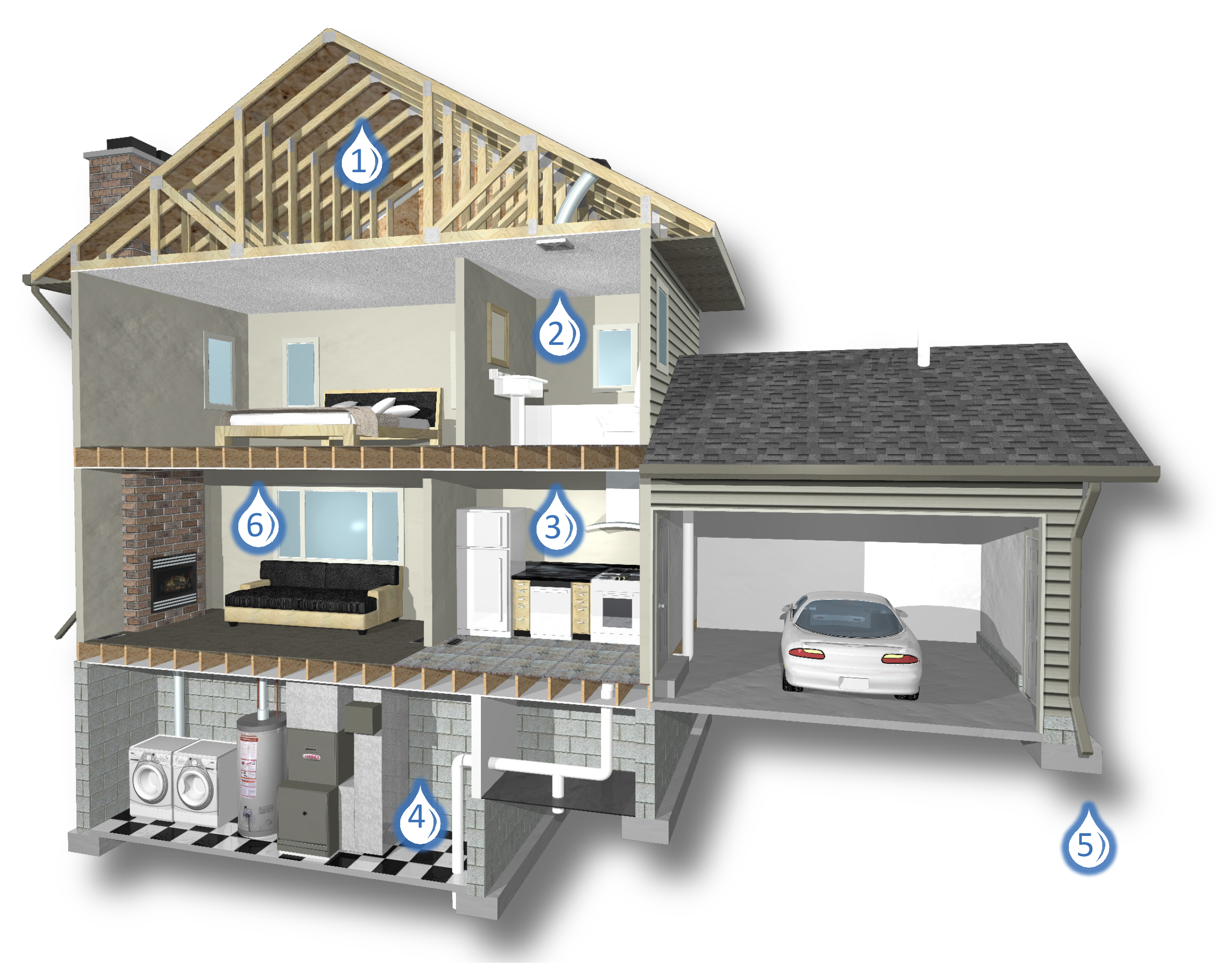 Mold and moisture house diagram