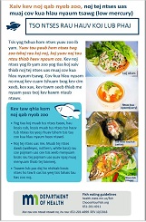  Choose health, low mercury fish - information sheet for Hmong Community 