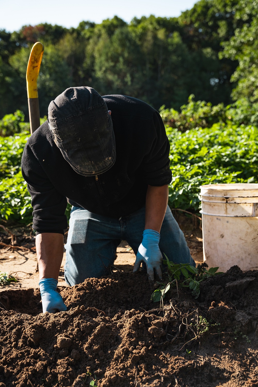 Gardener digging in soil; Source-Minnesota Department of Agriculture