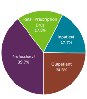 Pie graph, 17.8% retail prescription drug, 17.7% inpatient, 24.8% outpatient, 39.7% Professional.