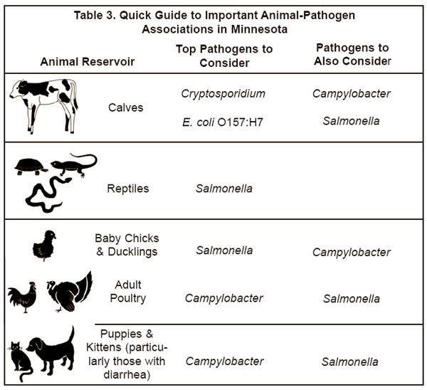 pathogenic animals
