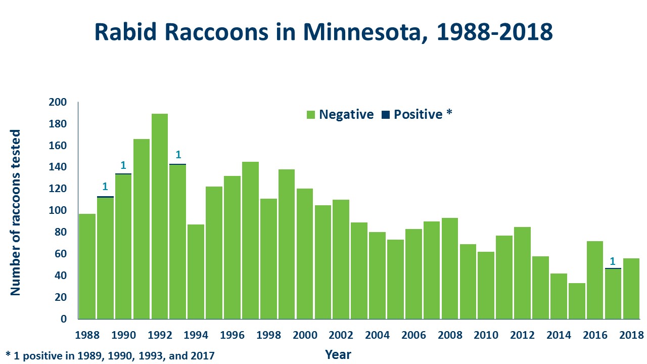 racoons tested for rabies graph